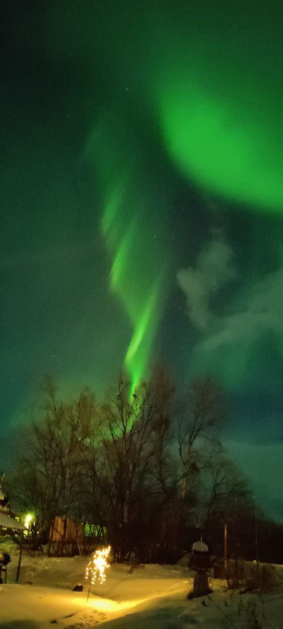 Aurora's Dance | Earth