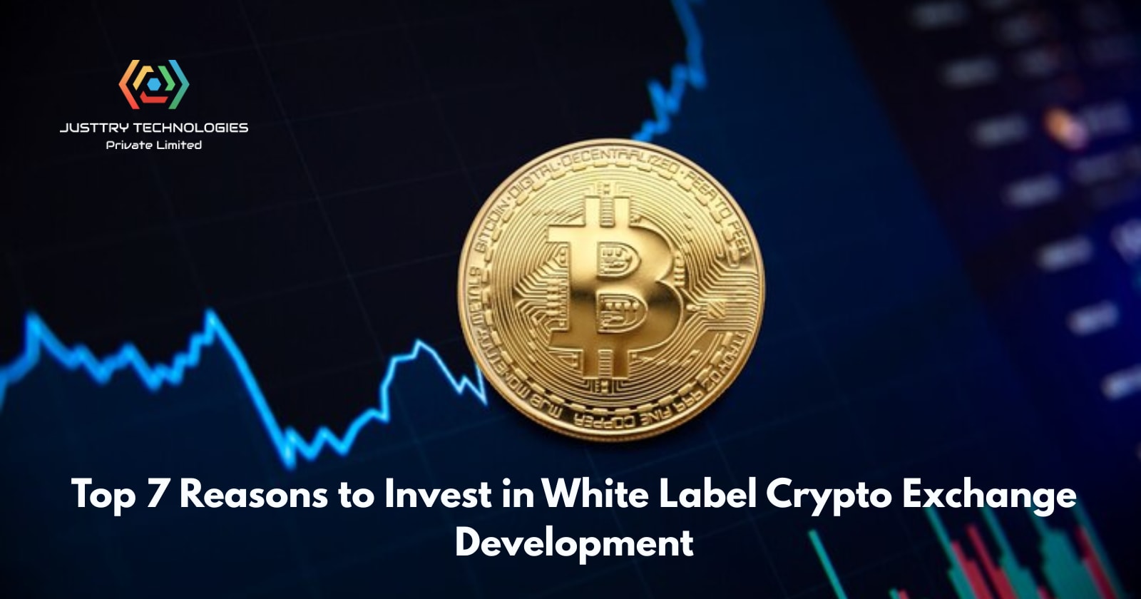 Top 7 Reasons to Invest in White Label Crypto Exchange Development | The  Chain