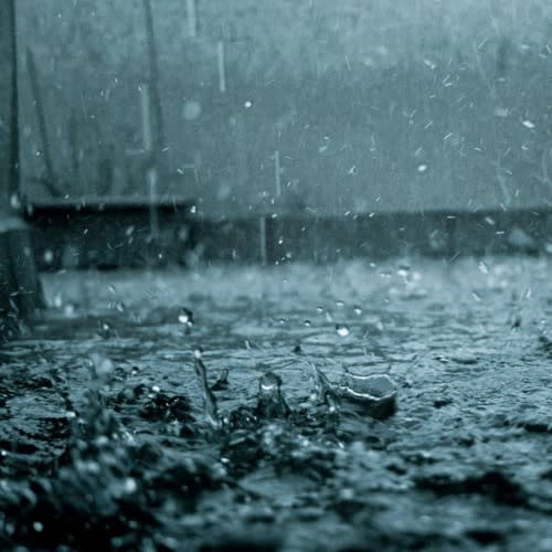 The Roaring Rain