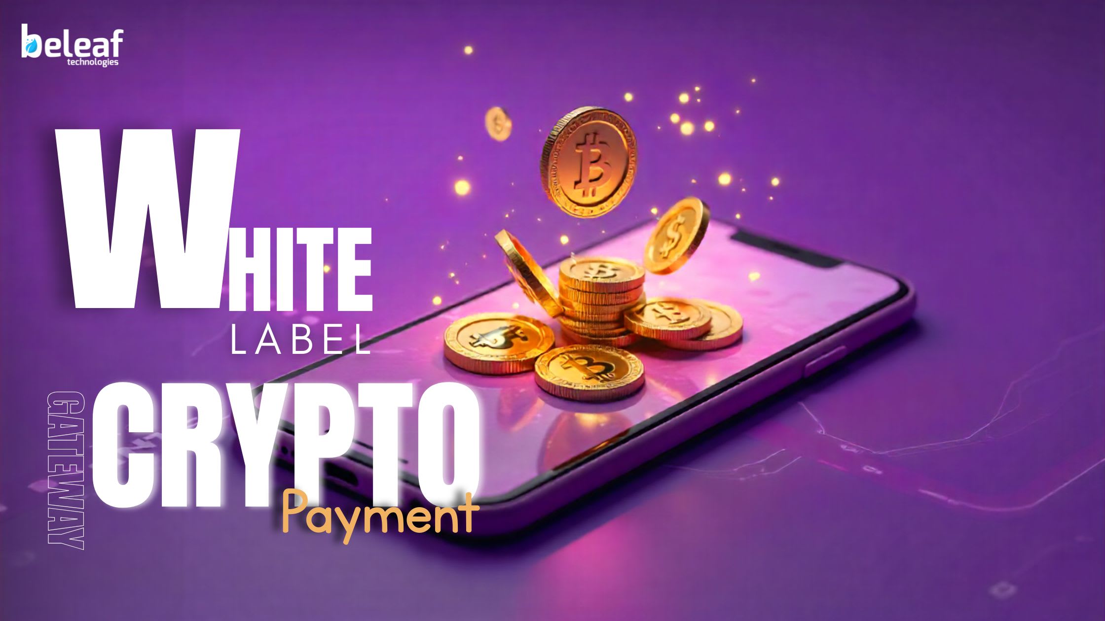 Why Crypto Payments Matter for Your Business and How a White-Label Gateway  Supports You | 01