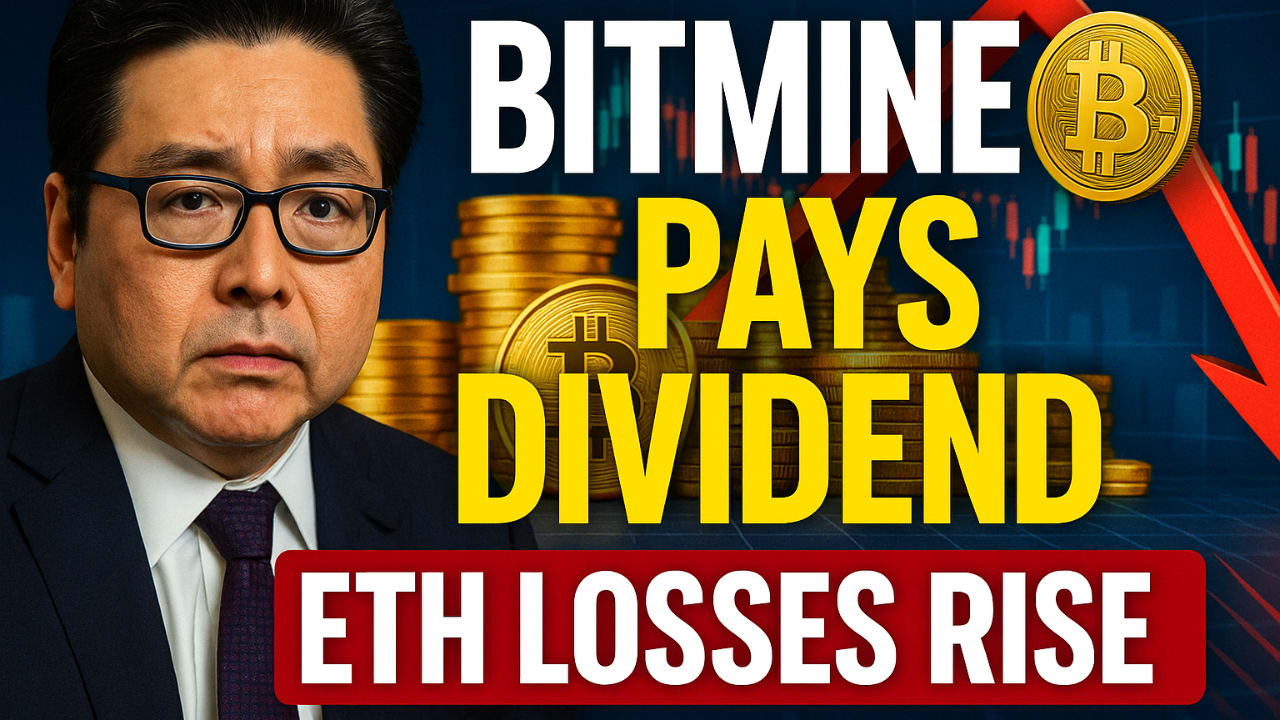 BitMine Unveils Annual Dividend Amid Massive Unrealized Losses and Market  Turbulence | 01