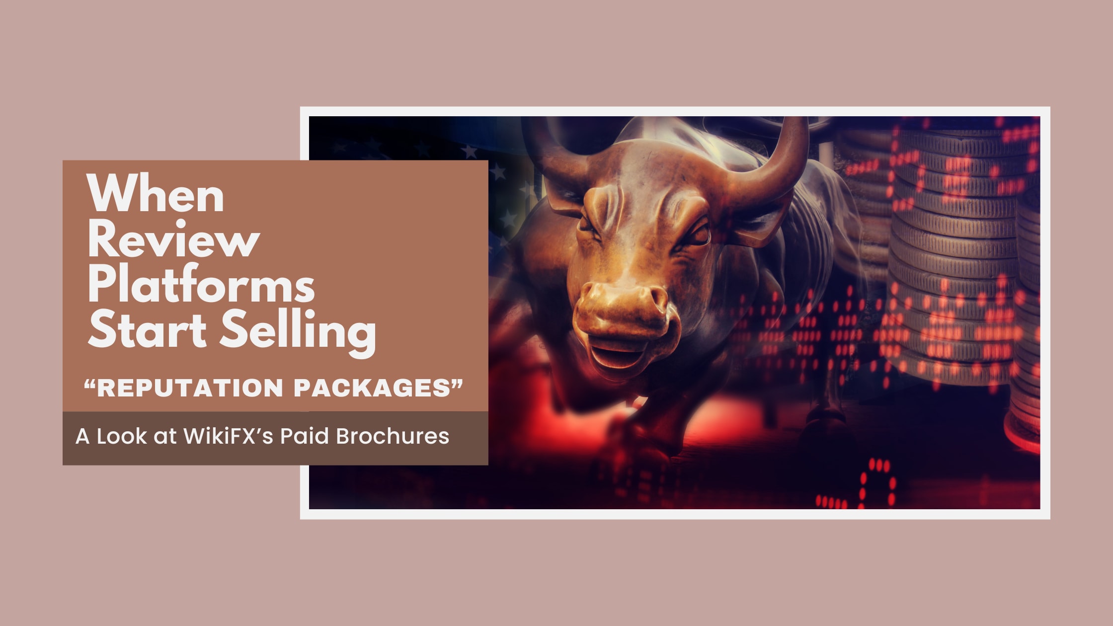 When Review Platforms Start Selling “Reputation Packages”: A Look at WikiFX’s Paid Brochures