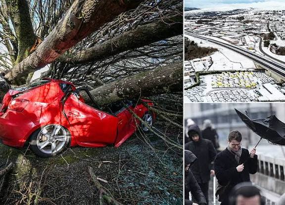 Storm Goretti Kills Man After Tree Crushes Caravan in Helston, Cornwall