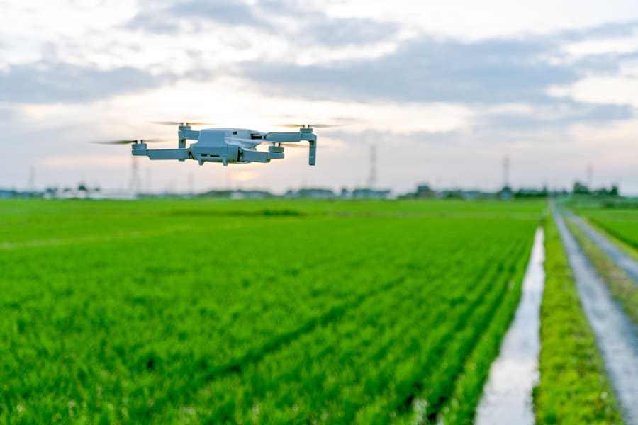 Japan Agribusiness Market: Size, Share and Forecast – vocal.media