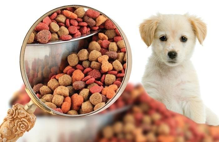 Middle East Pet Food Market: Functional Nutrition Trends, Premium Brands & Growth Outlook
