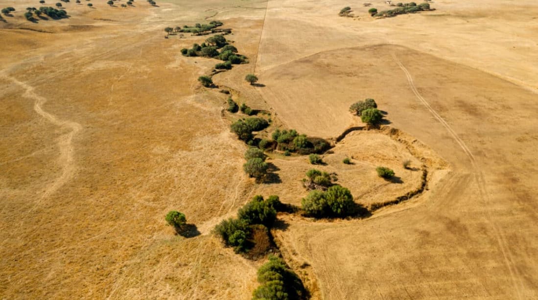 Aerial view of green forest belt meeting desert sand in northern China landscape