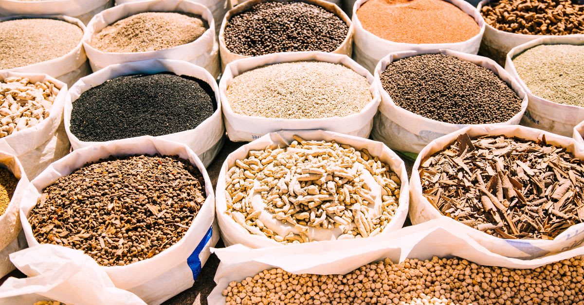 The Science of Sustenance: Global Trends and Innovations in the Feed Additives Industry