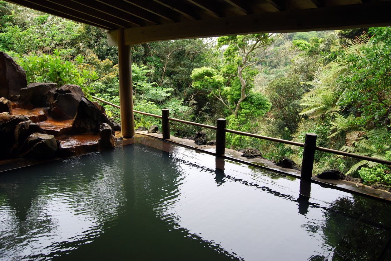 Japan Wellness Tourism Market: Size, Share and Industry Forecast