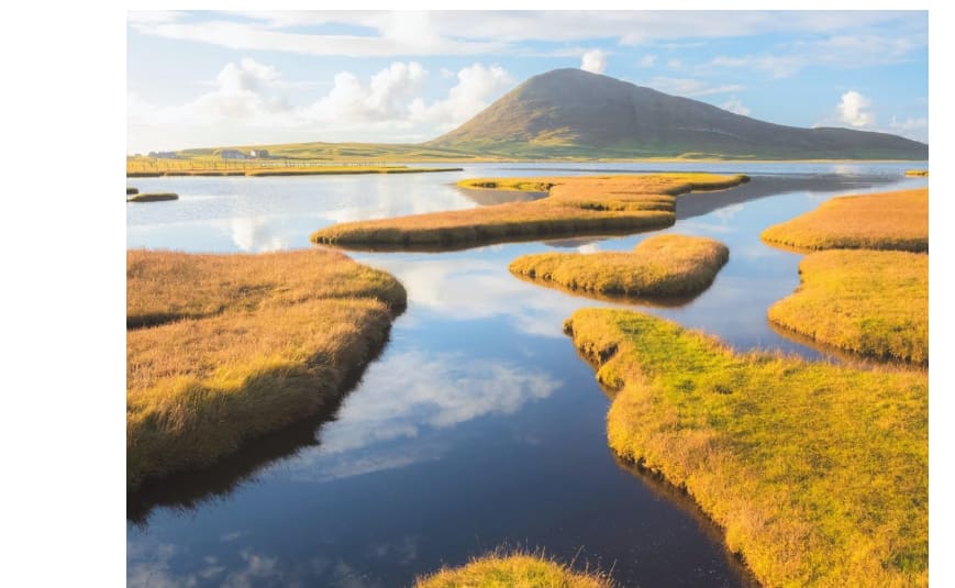 Nature Stores 37% of Climate Solution We Need by 2030