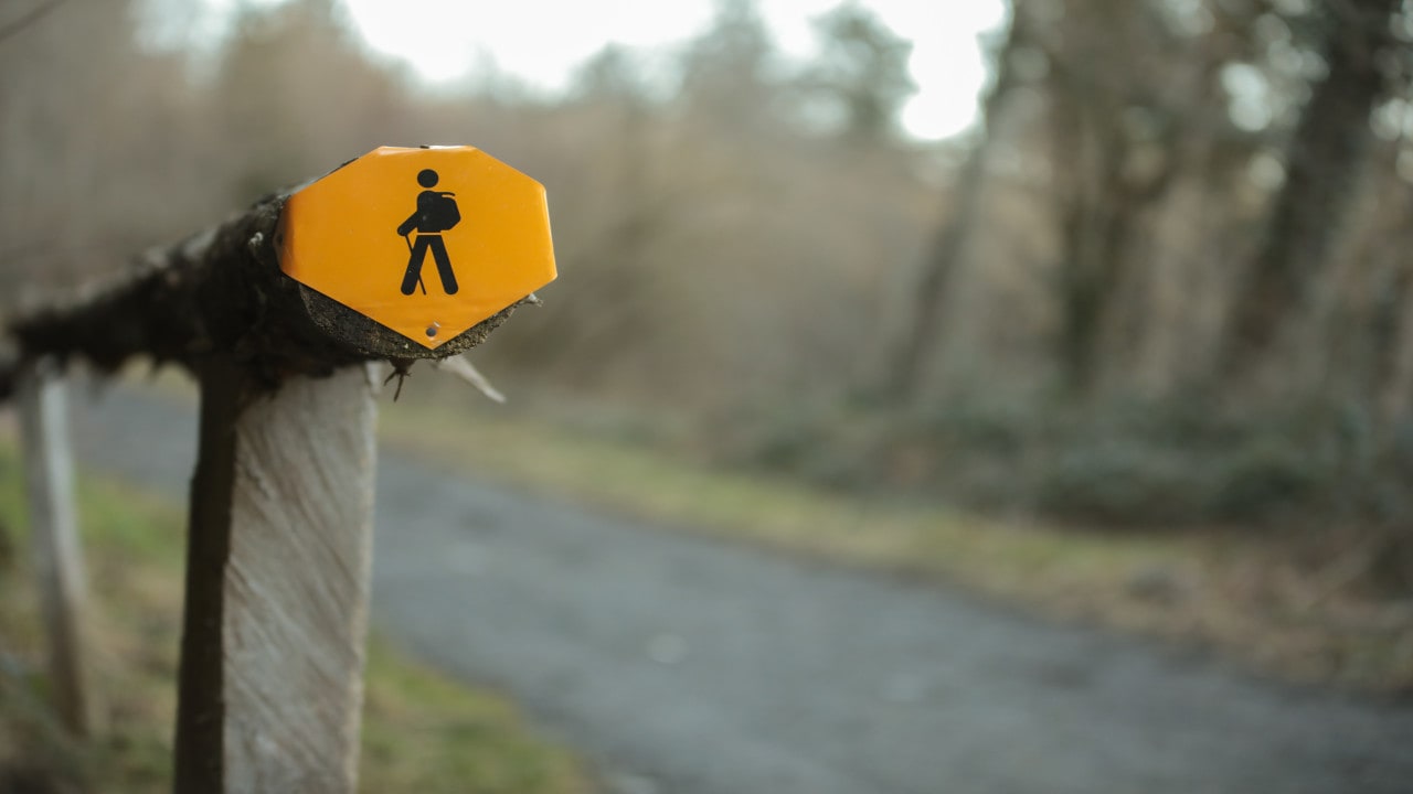 We Almost Walked Past It: How One Small Sign Changed Our Entire Day | Journal