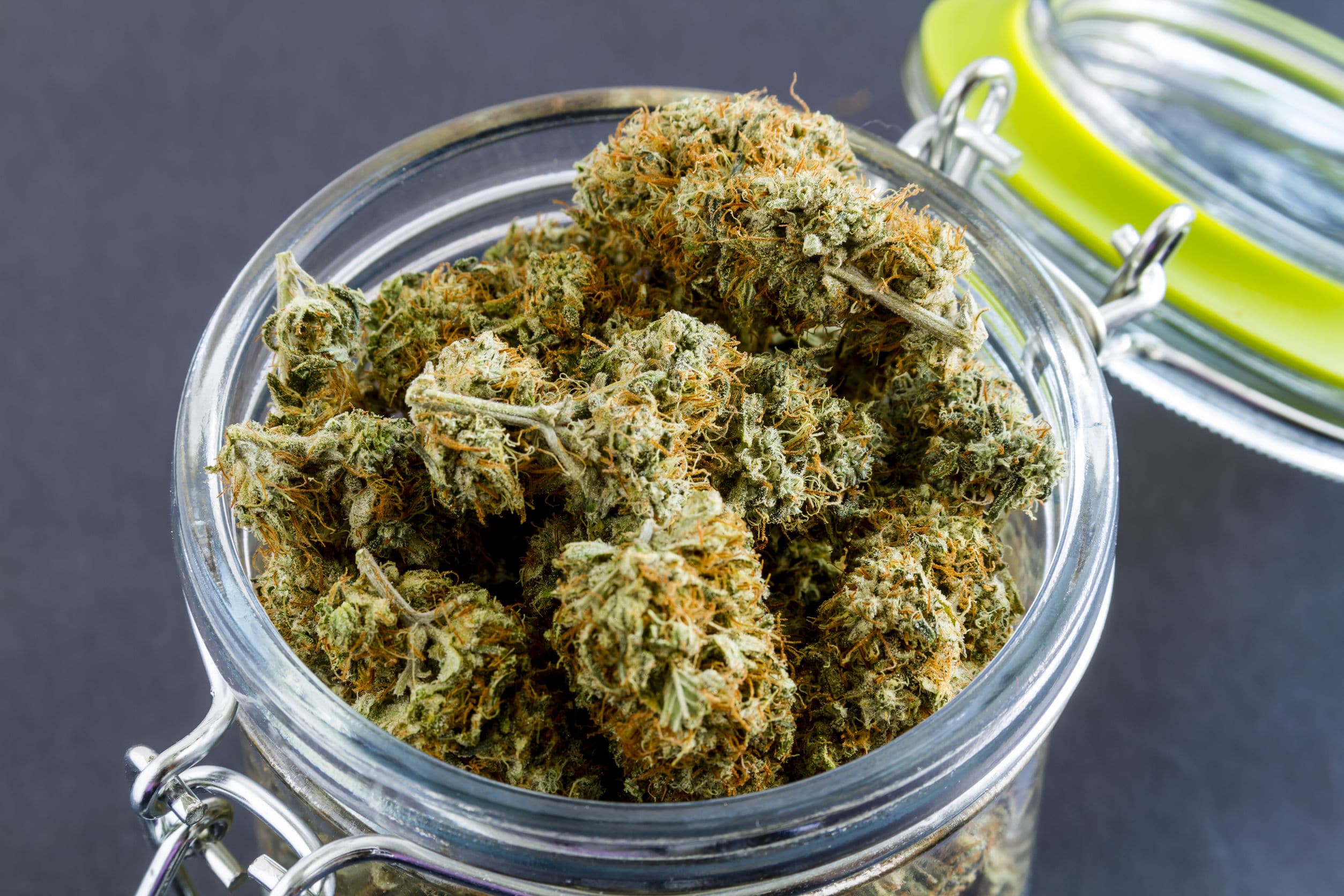Best Ways to Store Weed for an Extended Period of Time Potent