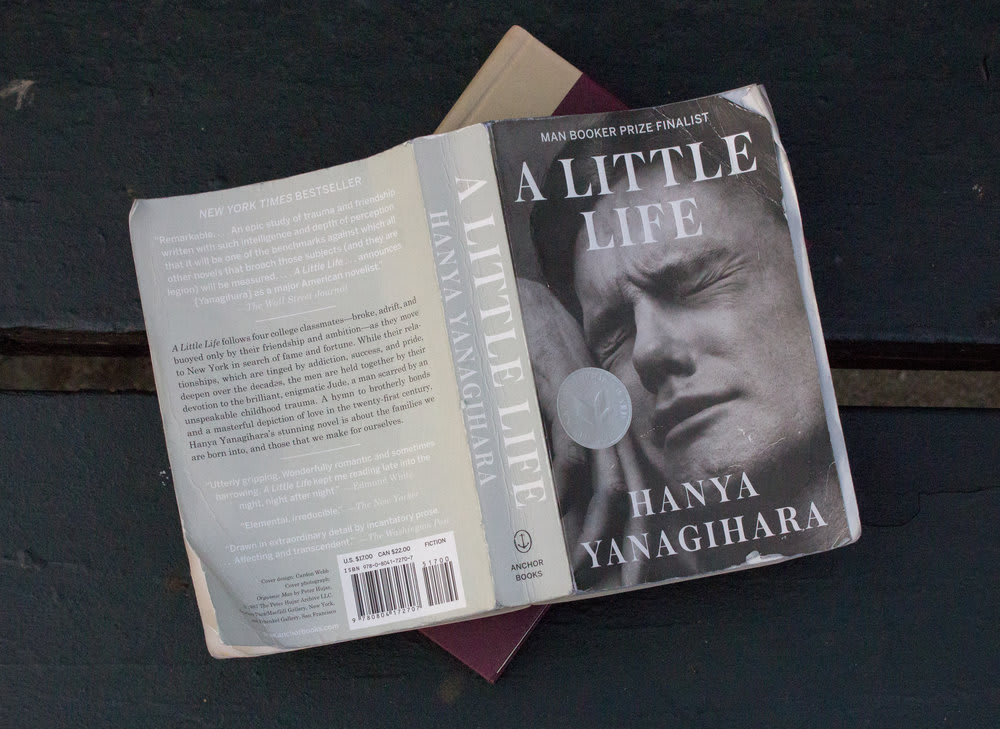 Which markerpen should I use for A Little Life by Hanya Yanagihara? :  r/notebooks