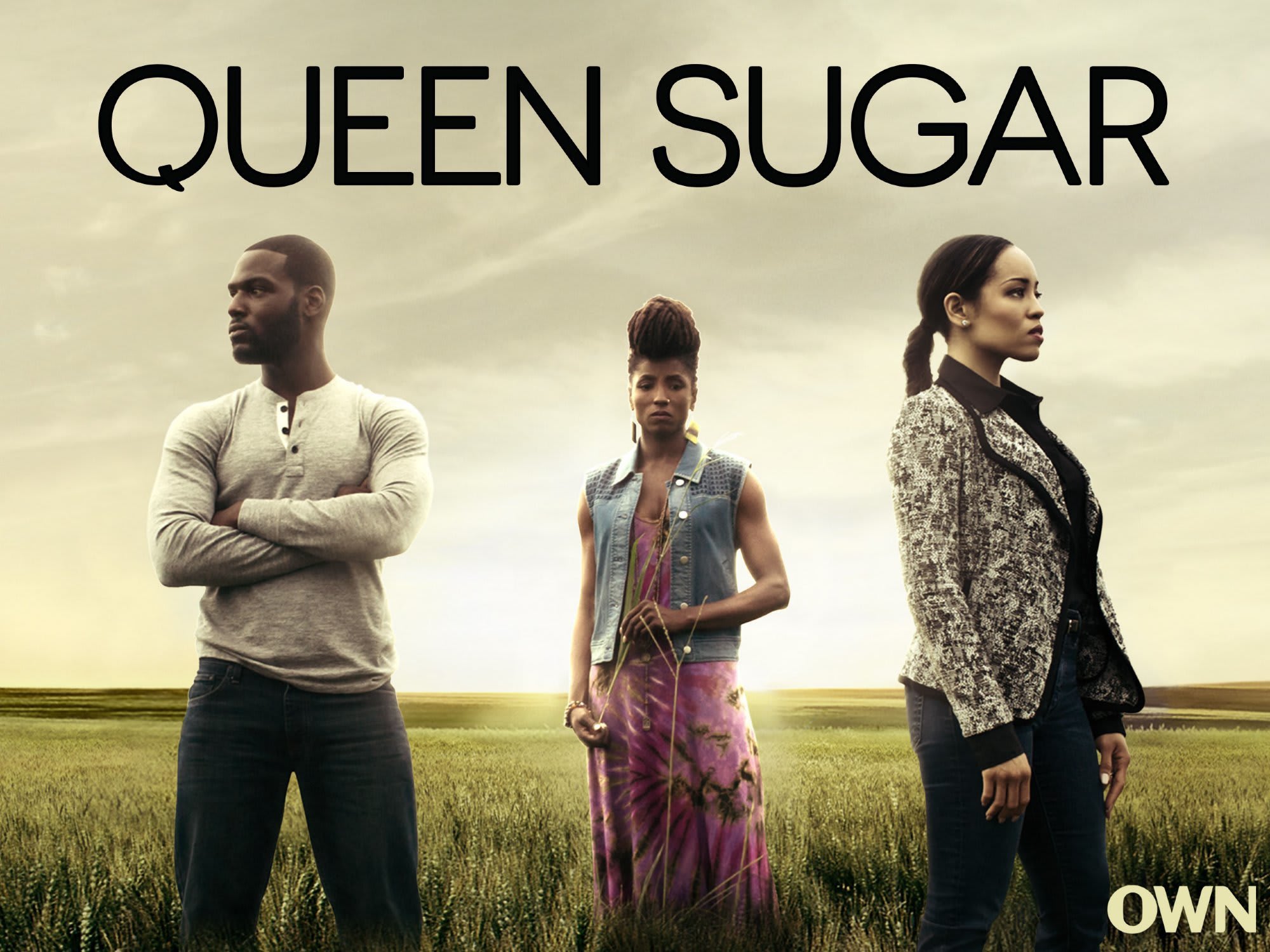 Queen Sugar' Casting: Rutina Wesley to Star in OWN Series, Based on Book