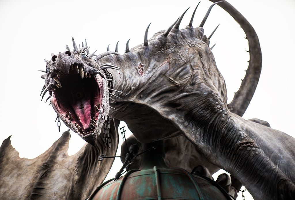 Top 10 Pets in the 'Harry Potter' Universe Geeks