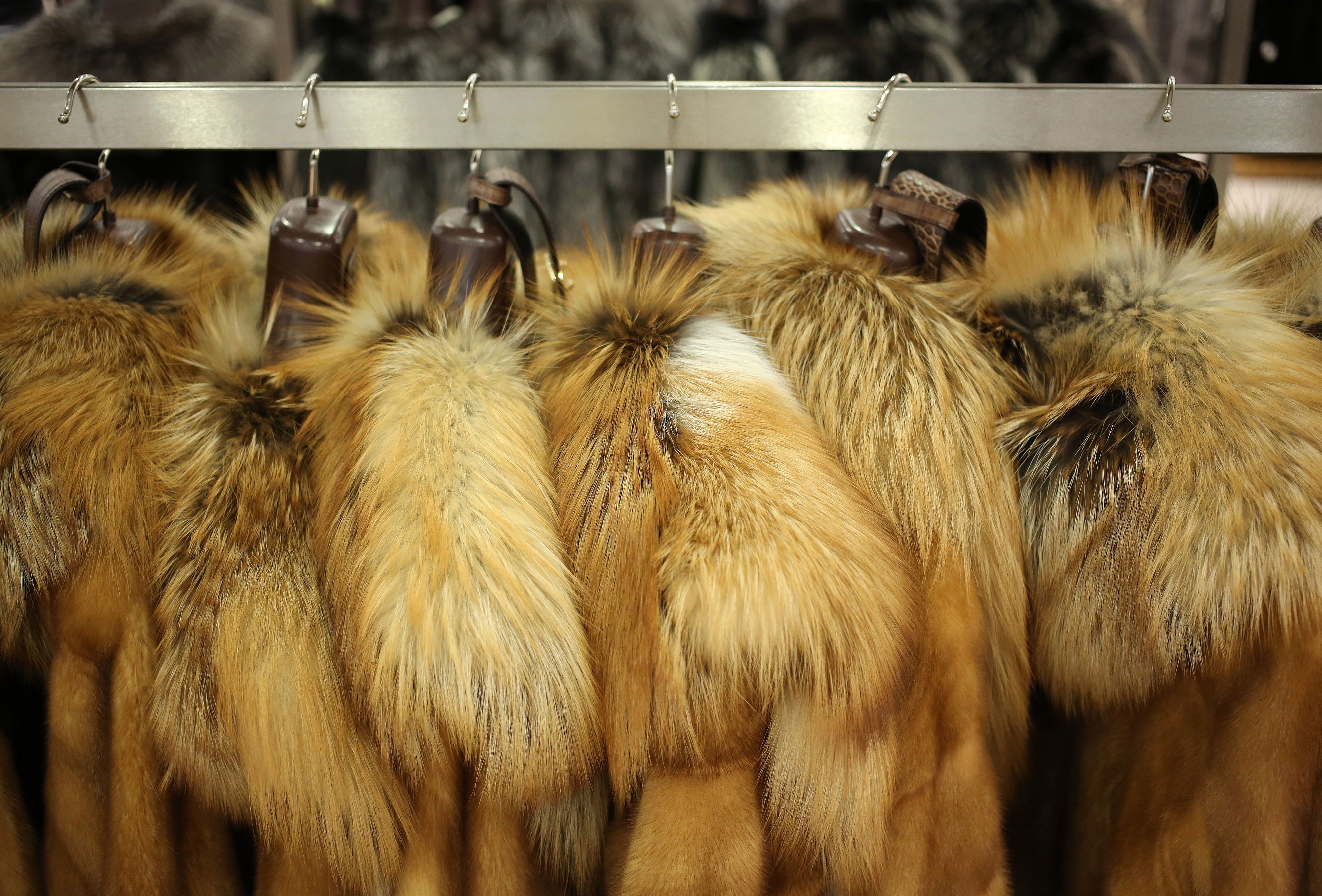 What Is the Future of Fur in Fashion? | Styled What Is the Future of Fur in Fashion? | Styled