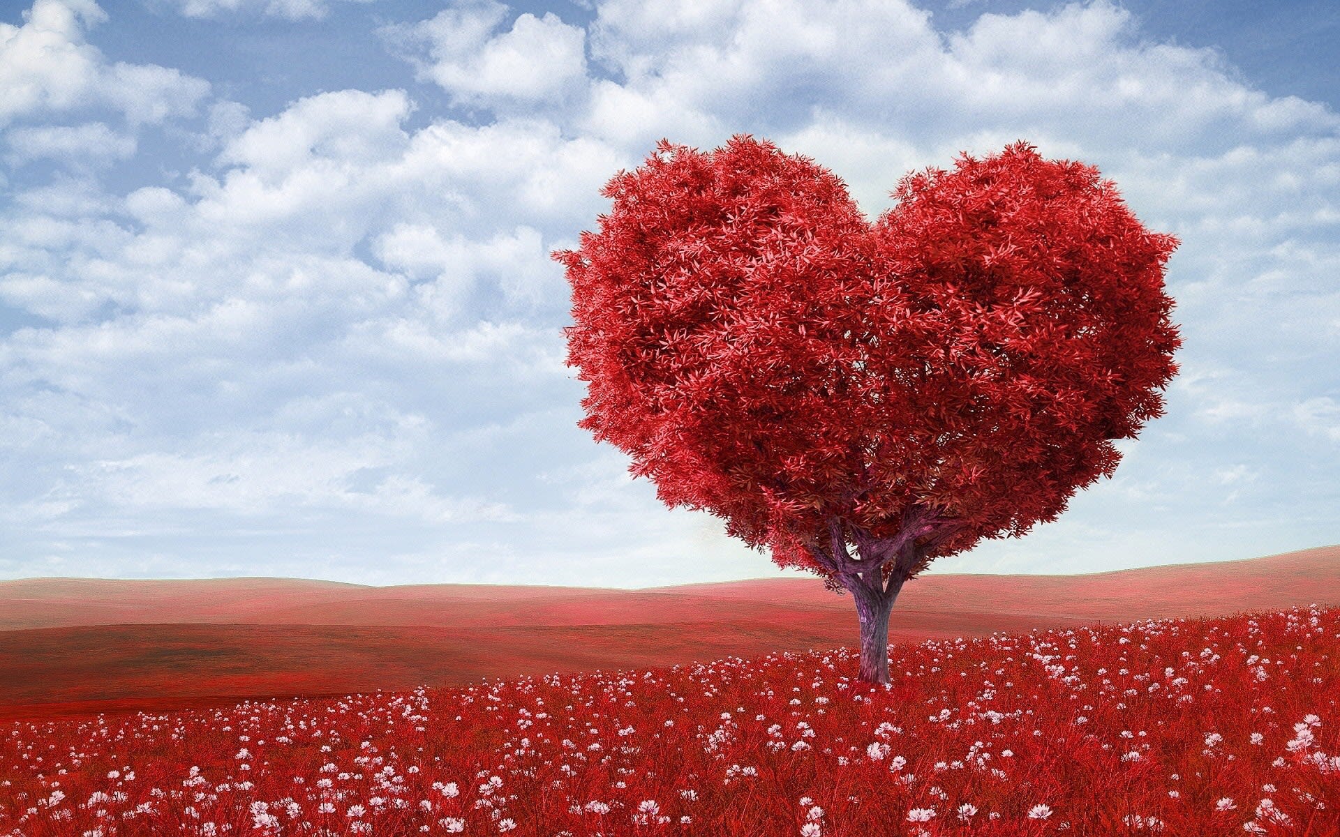 Building A Relationship Is Like Building A House Humans Building a relationship is like building a house humans