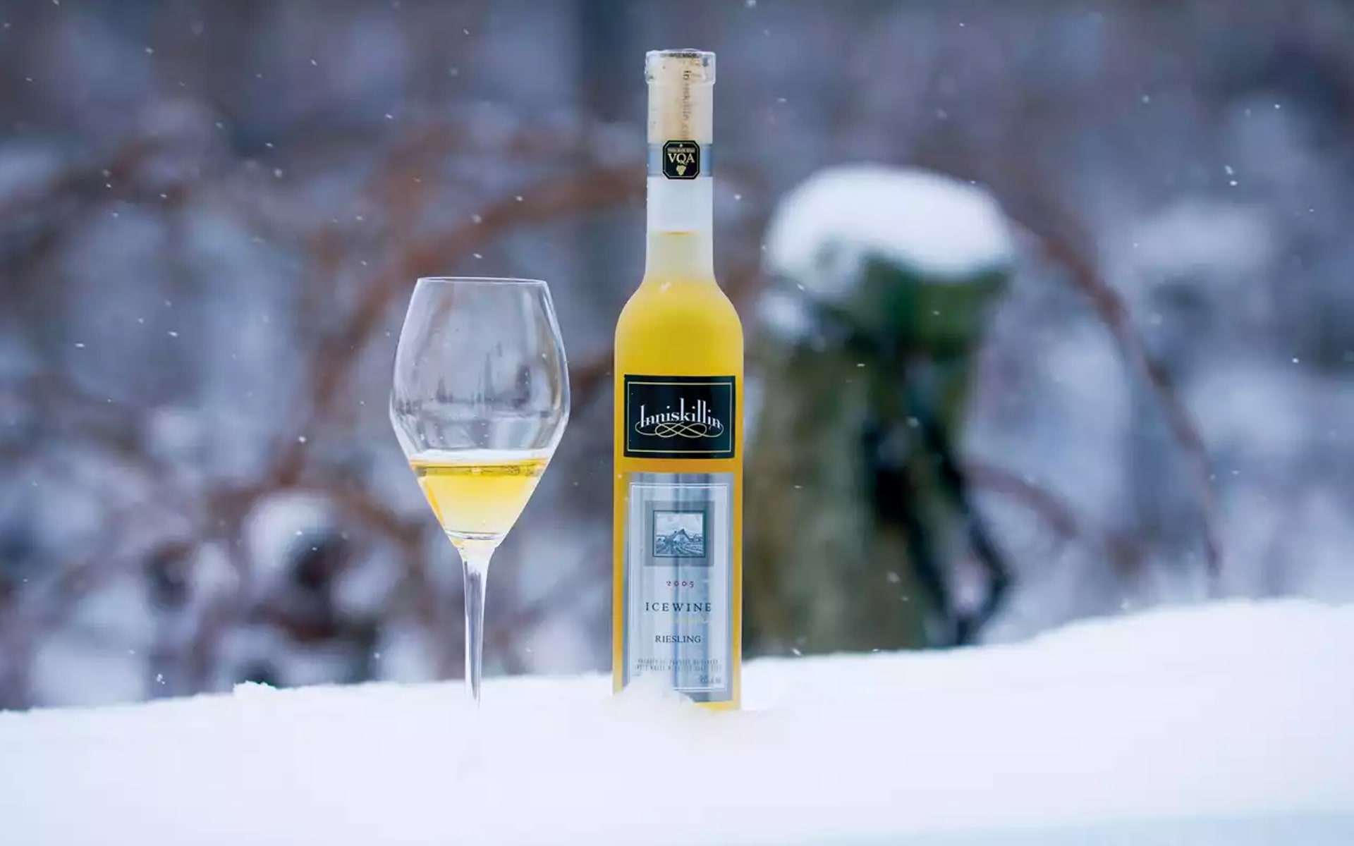 Best Ice Wines Proof