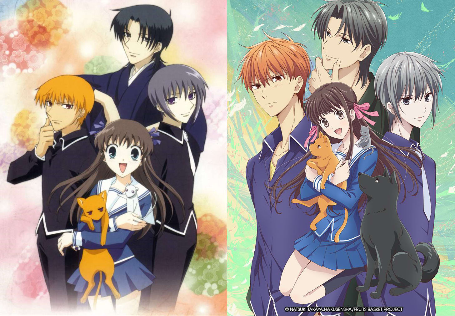 Fruits Basket  Watch on Funimation