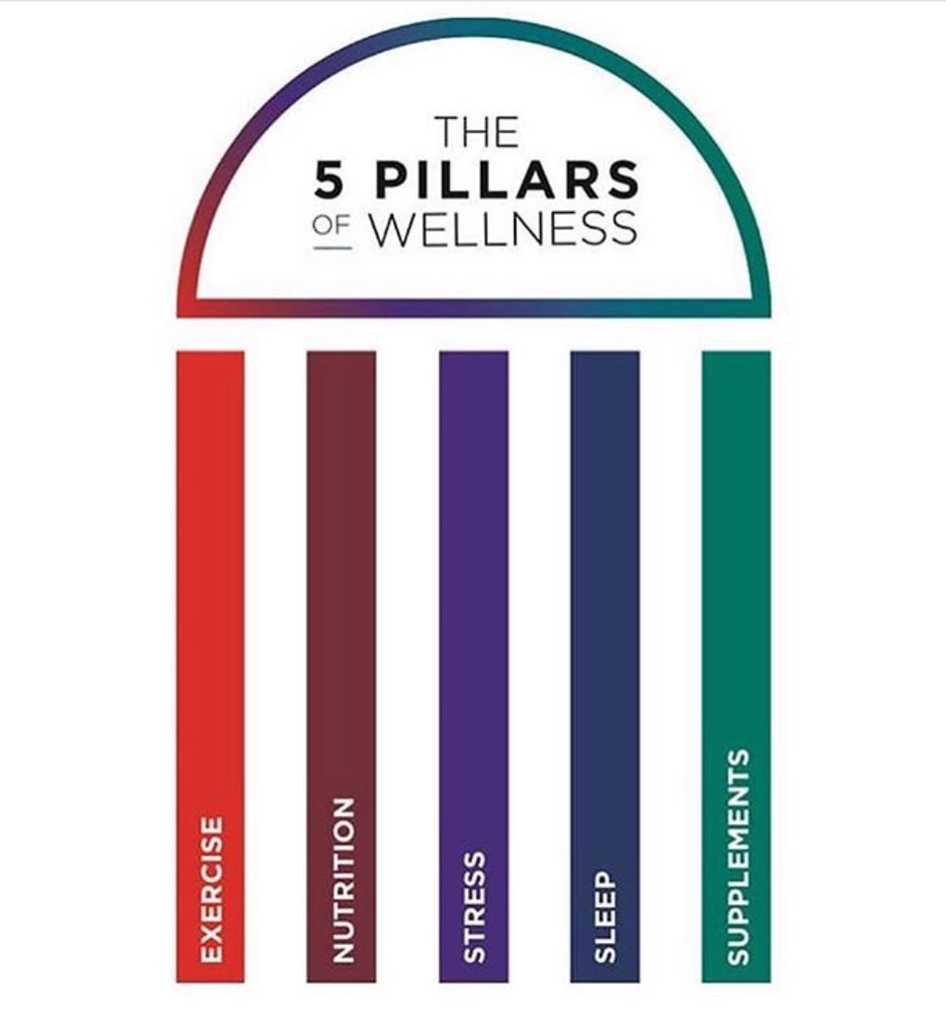 the-5-pillars-of-wellness-longevity