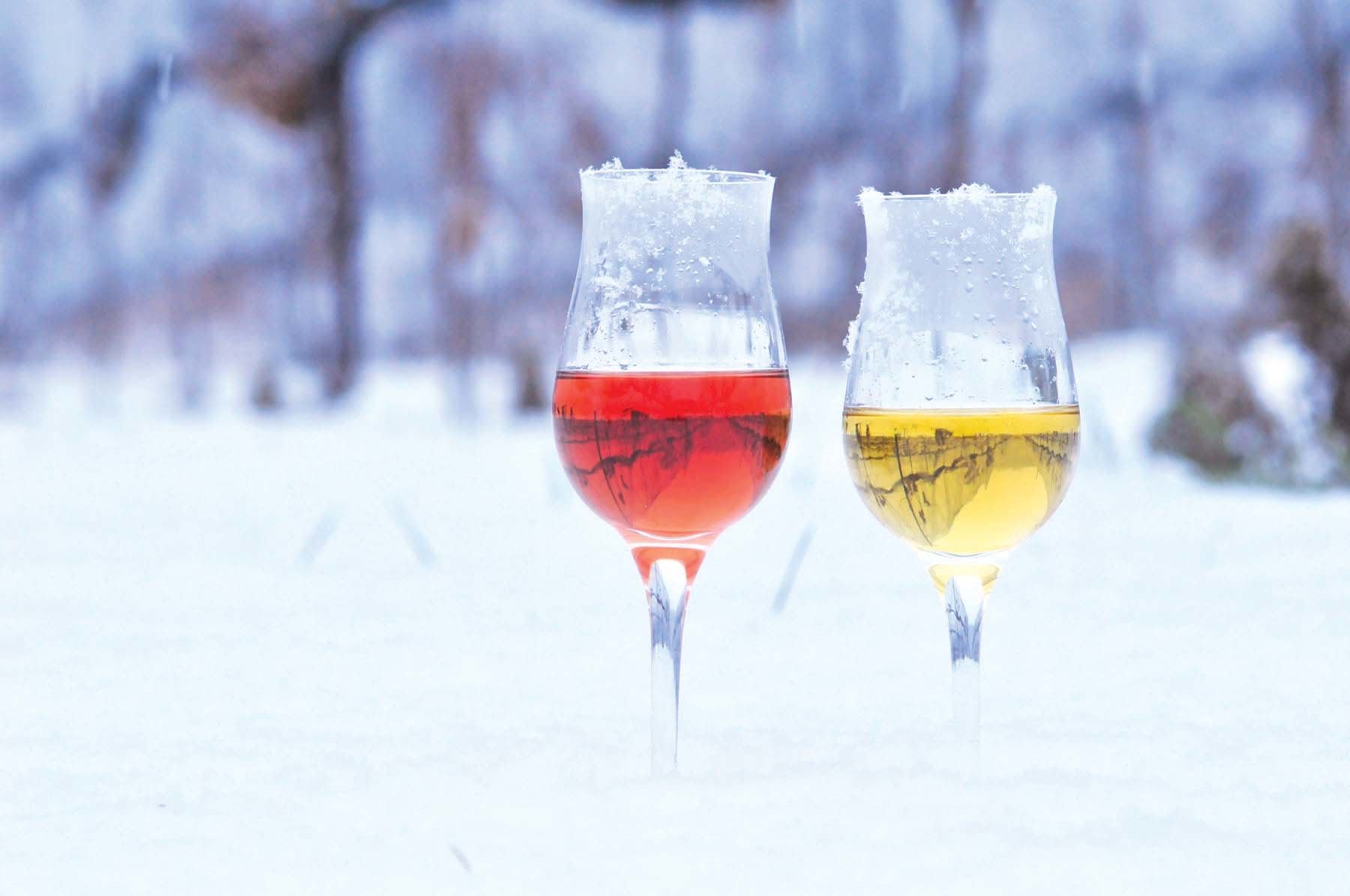 Ice Wine and Food Pairing Guide Proof