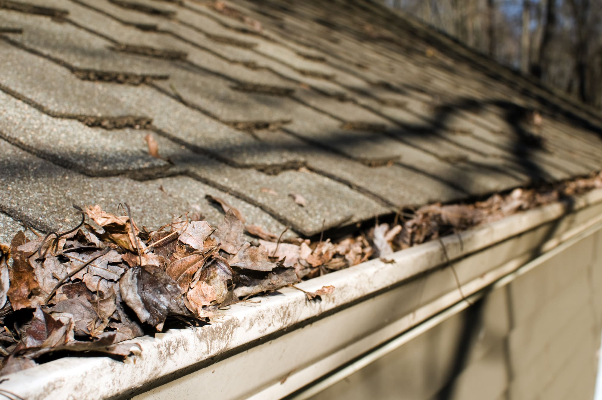 How to Keep Leaves out of Gutters Lifehack