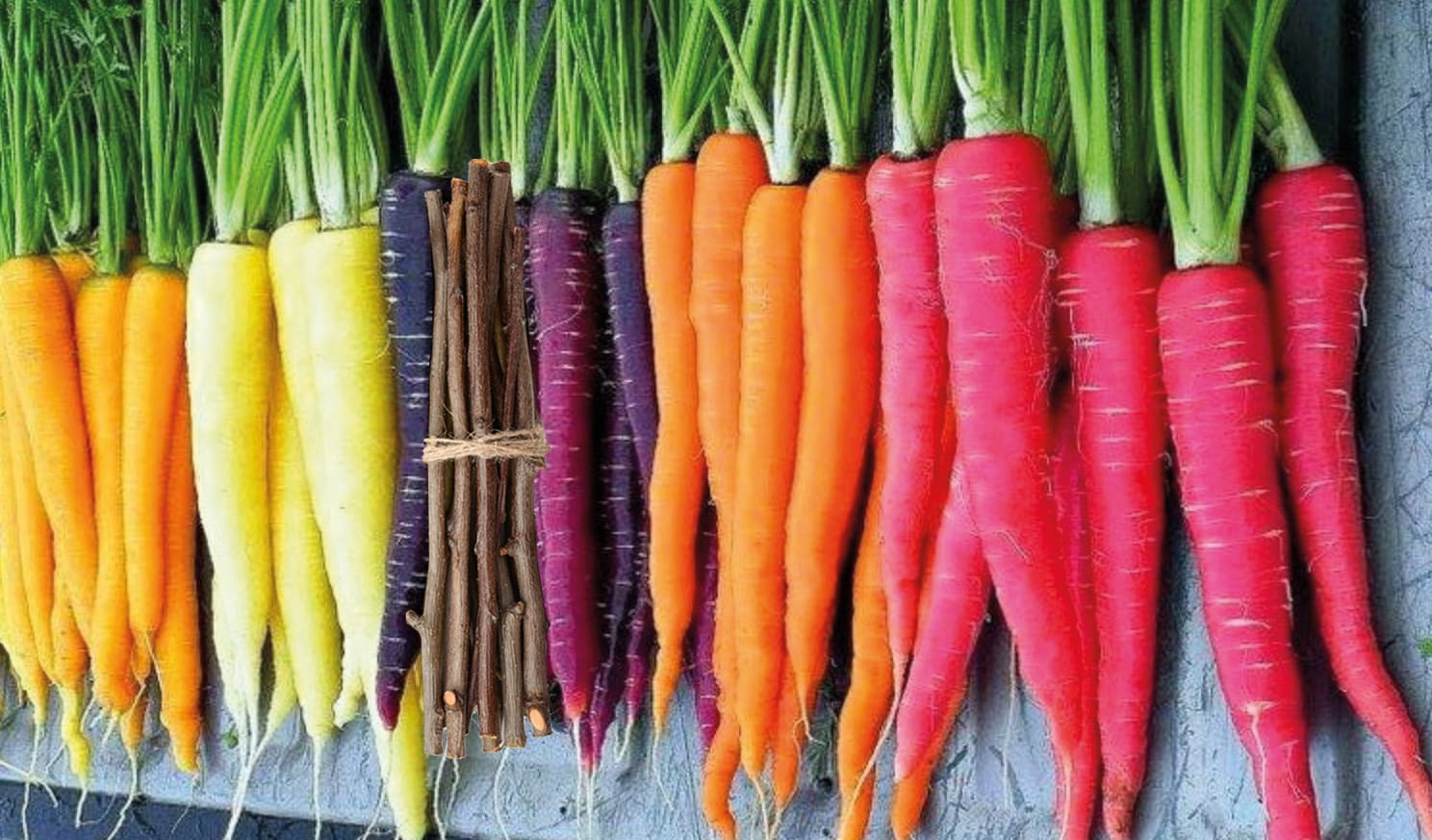 Carrot or Stick? Motivation