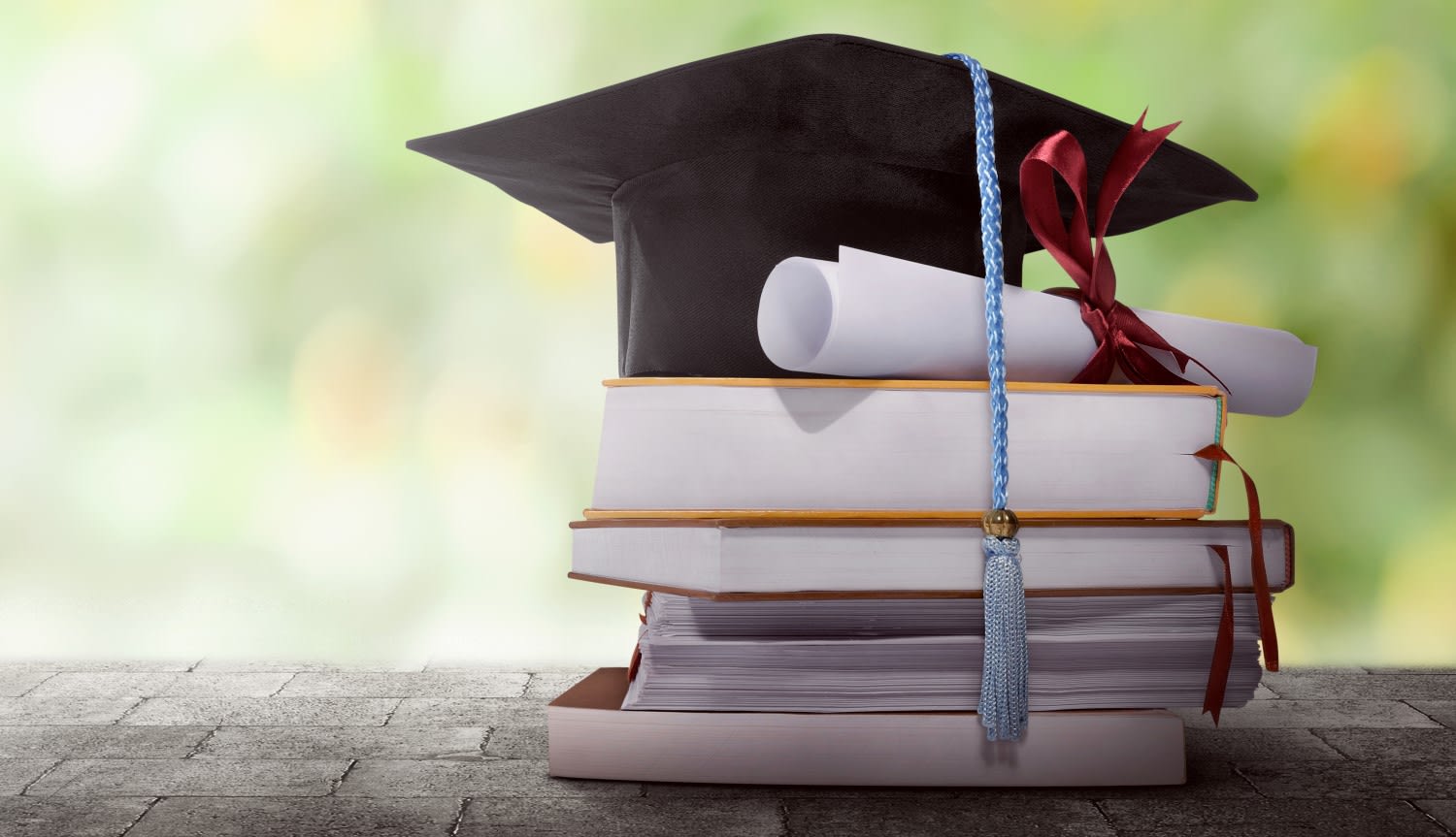 What Is The Difference Between An Academic Degree And A Professional