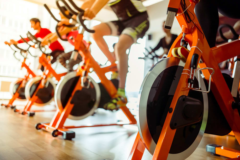 best spin bikes under $500