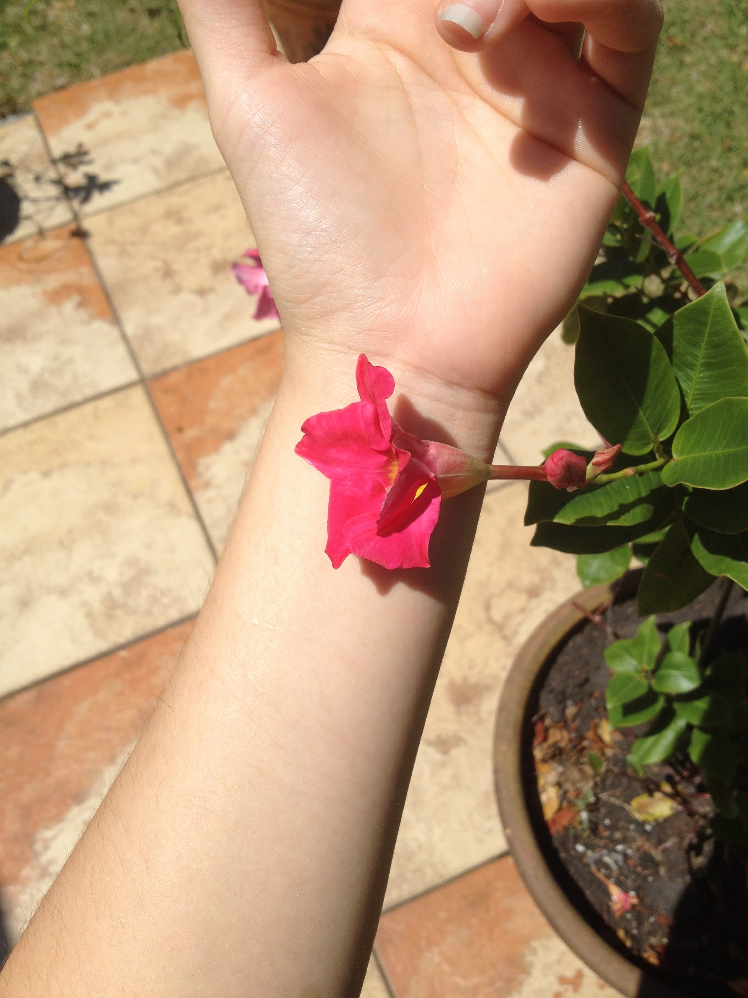 Pink Ribbon Scars Motivation