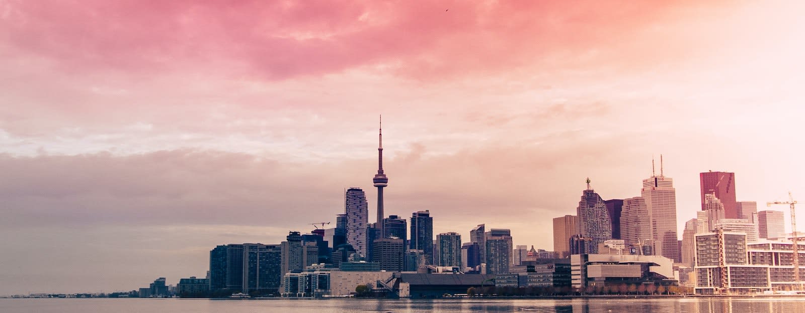 How to Survive an Economic Collapse