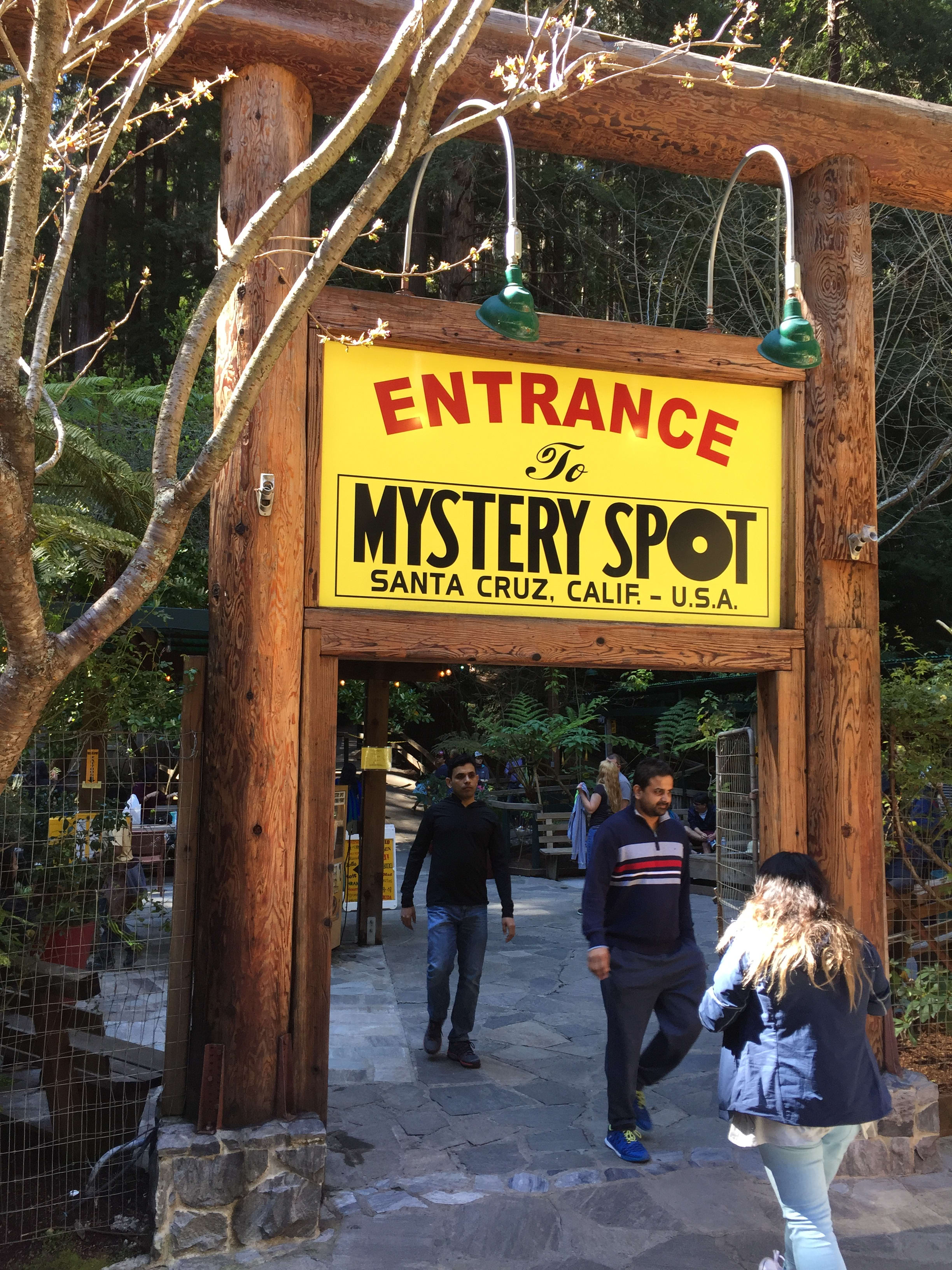 mystery spot santa cruz