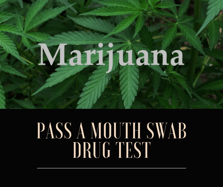 How To Pass A Mouth Swab Drug Test Within 12 Hours