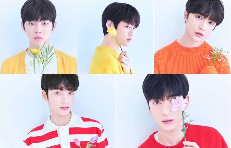 Guide to TXT (New BTS Junior Group)