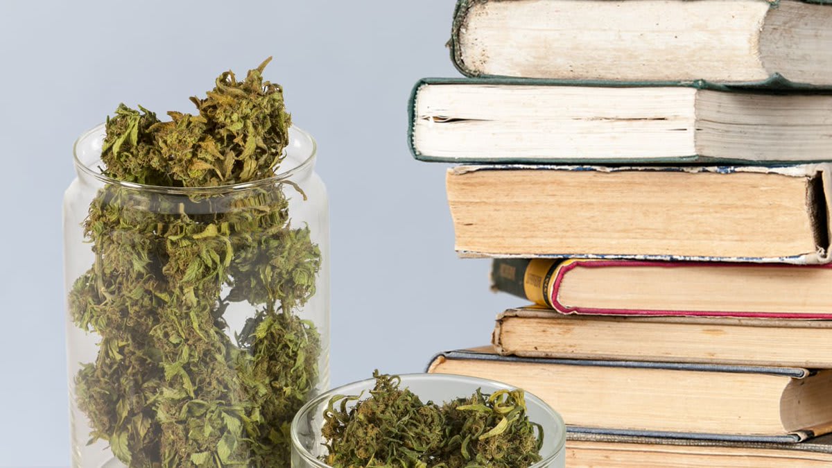 Best Marijuana Grow Books You Can Buy on Amazon
