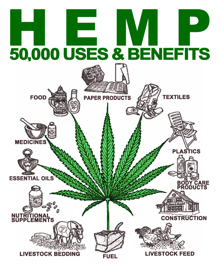 The Benefits Of Hemp