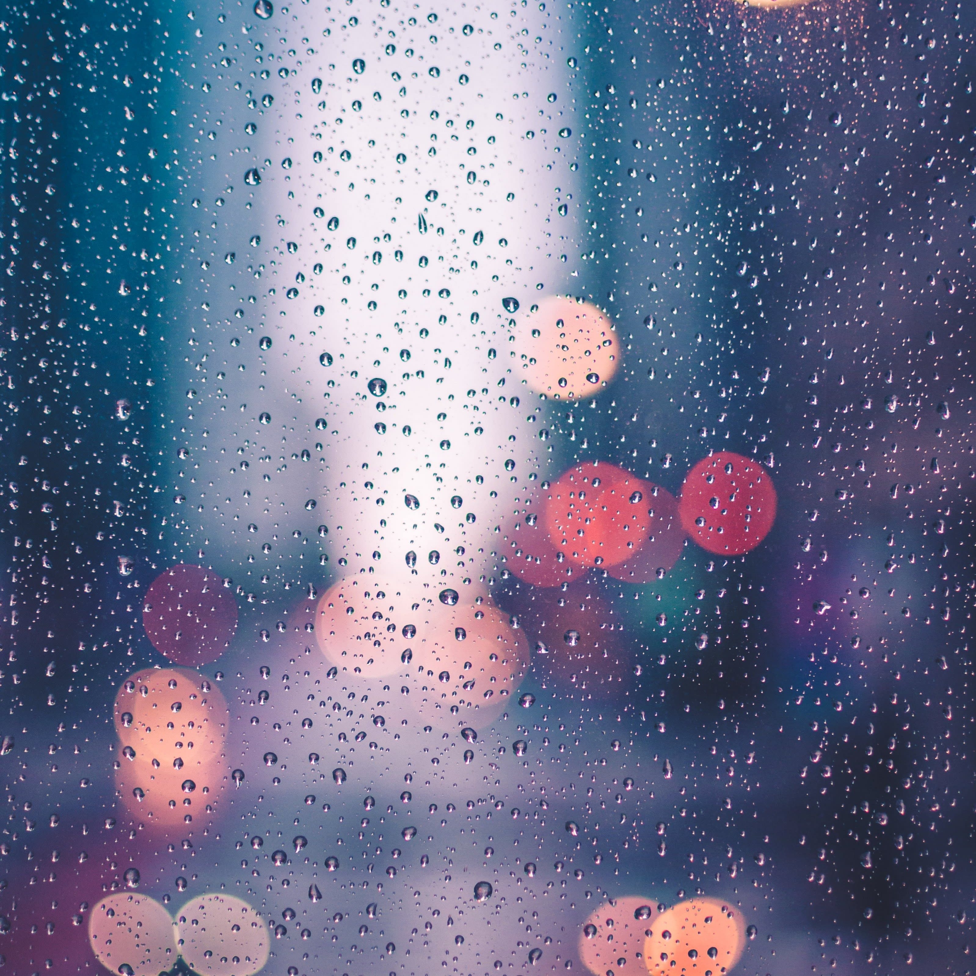 The Sophia Rain Phenomenon: 93 Images That Define 2024! - kimapej