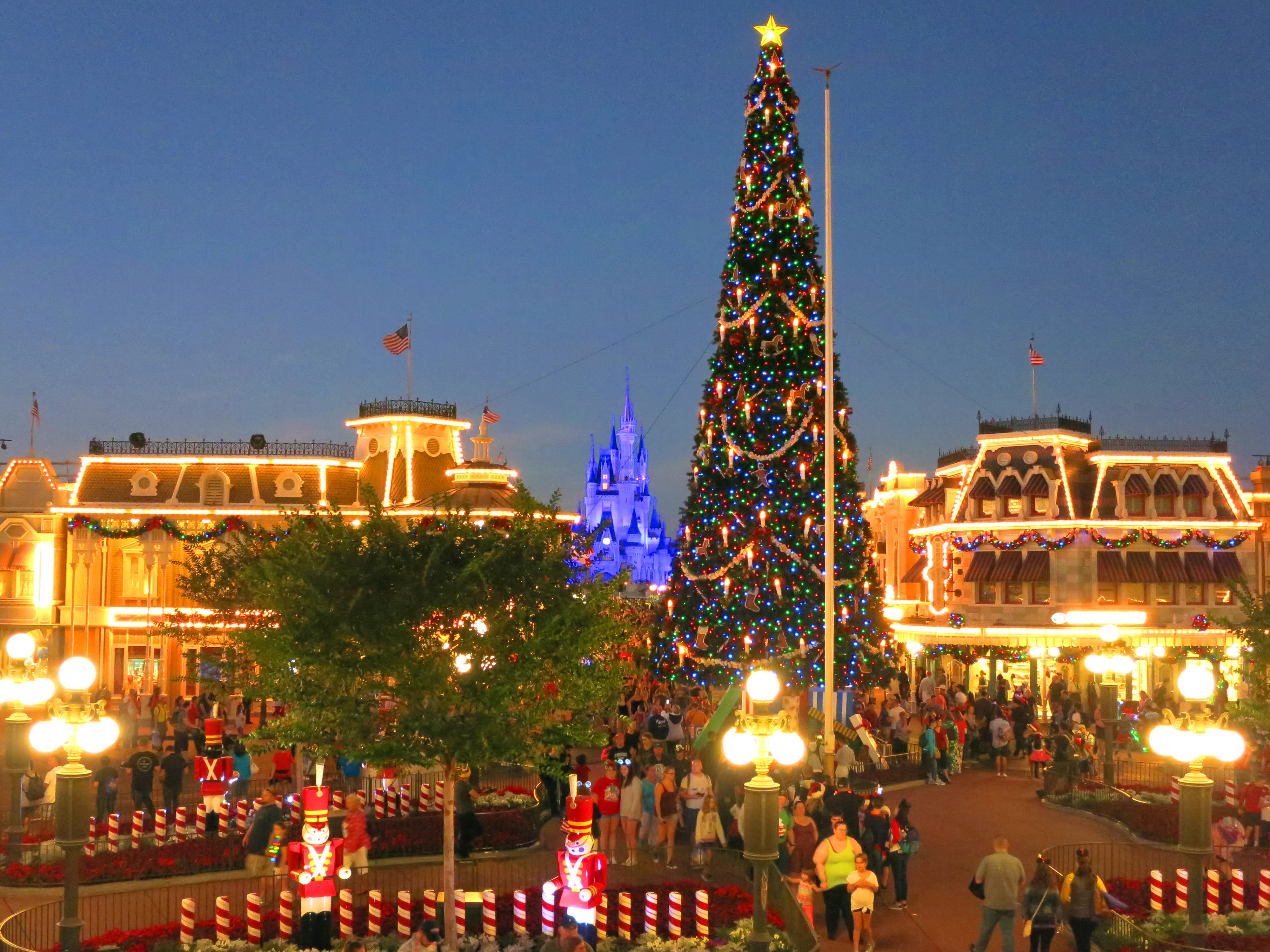 A Disney Winter Wonderland!