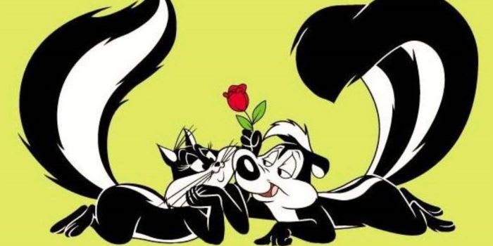 Some Ways Guys Flirt And What They Mean