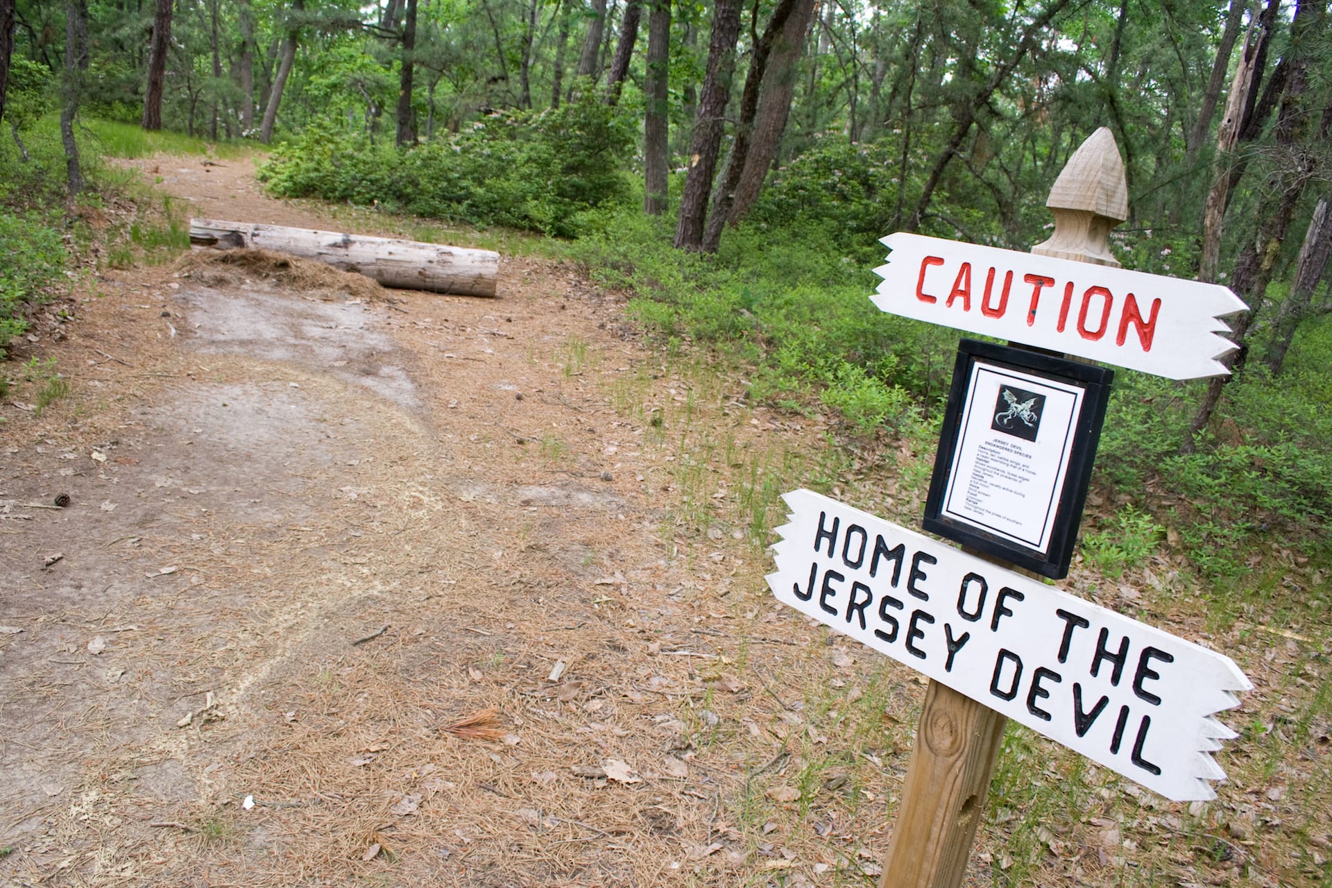 Strangest Places In New Jersey