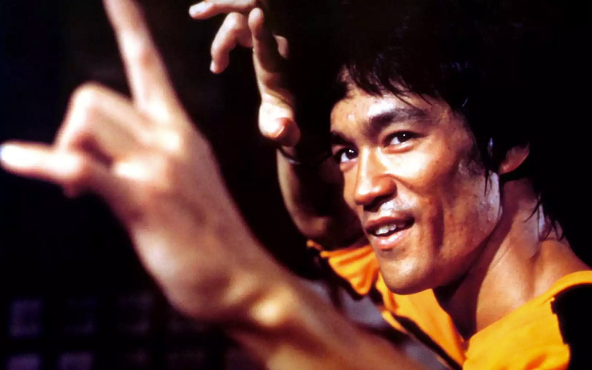 the real bruce lee