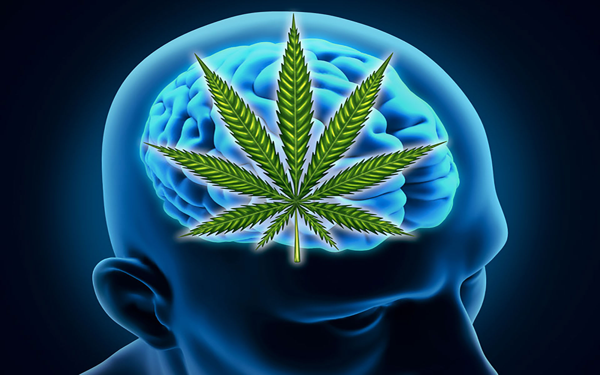 What Are Cannabinoids?