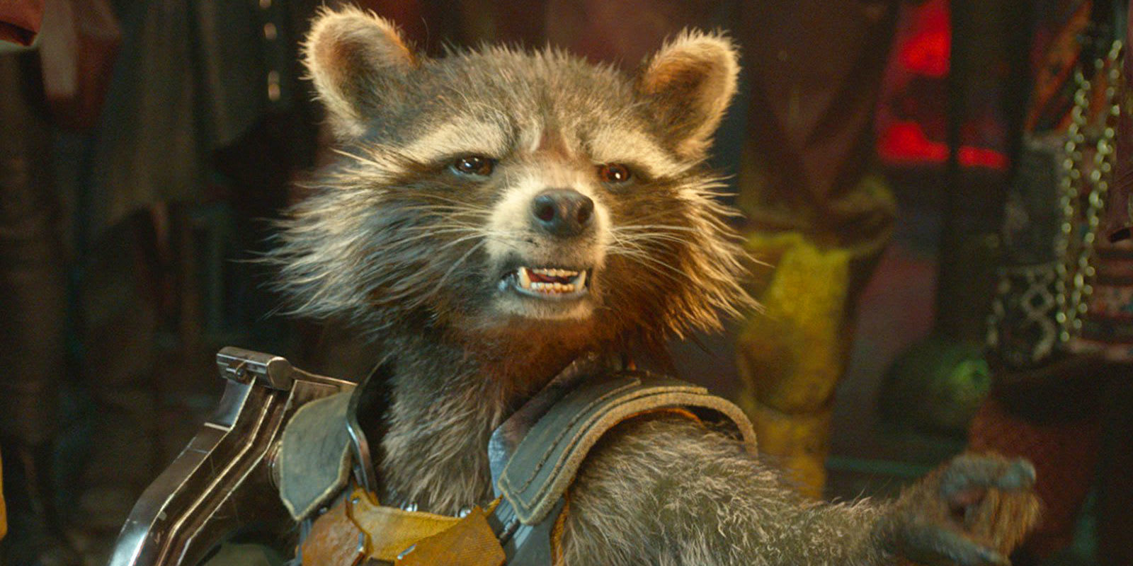 James Gunn Hints That Rocket Raccoon's Origins Will Be Revealed In A