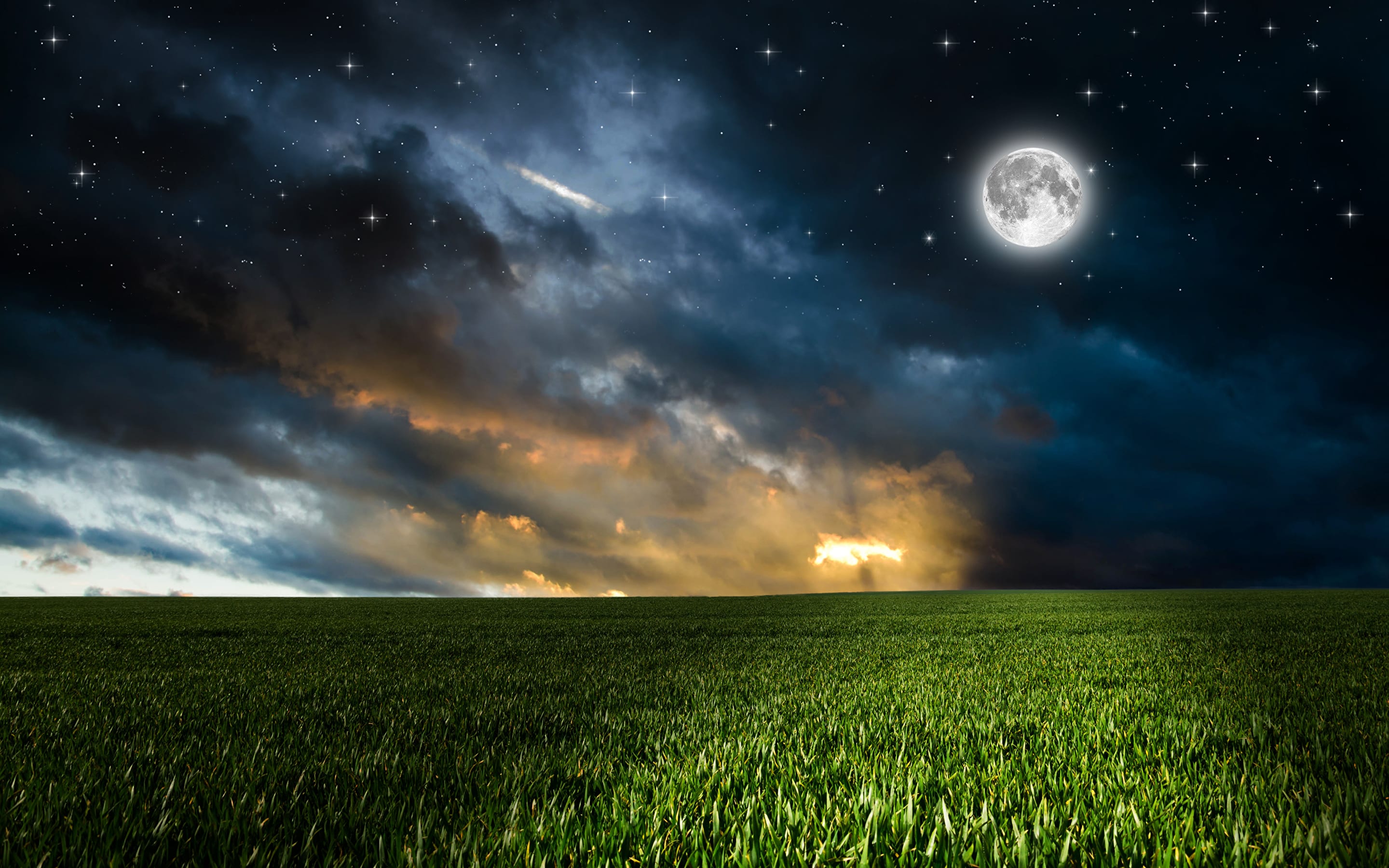 The Nighttime Field Poets