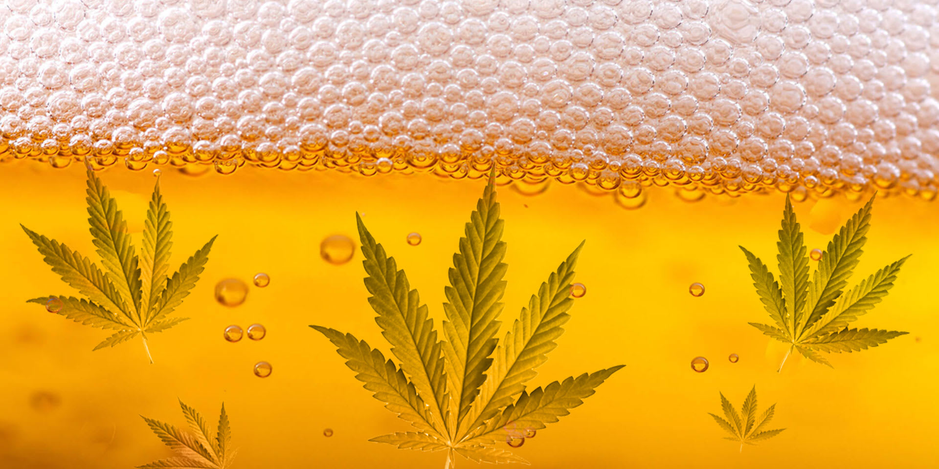 How to Make Weed Infused Beer