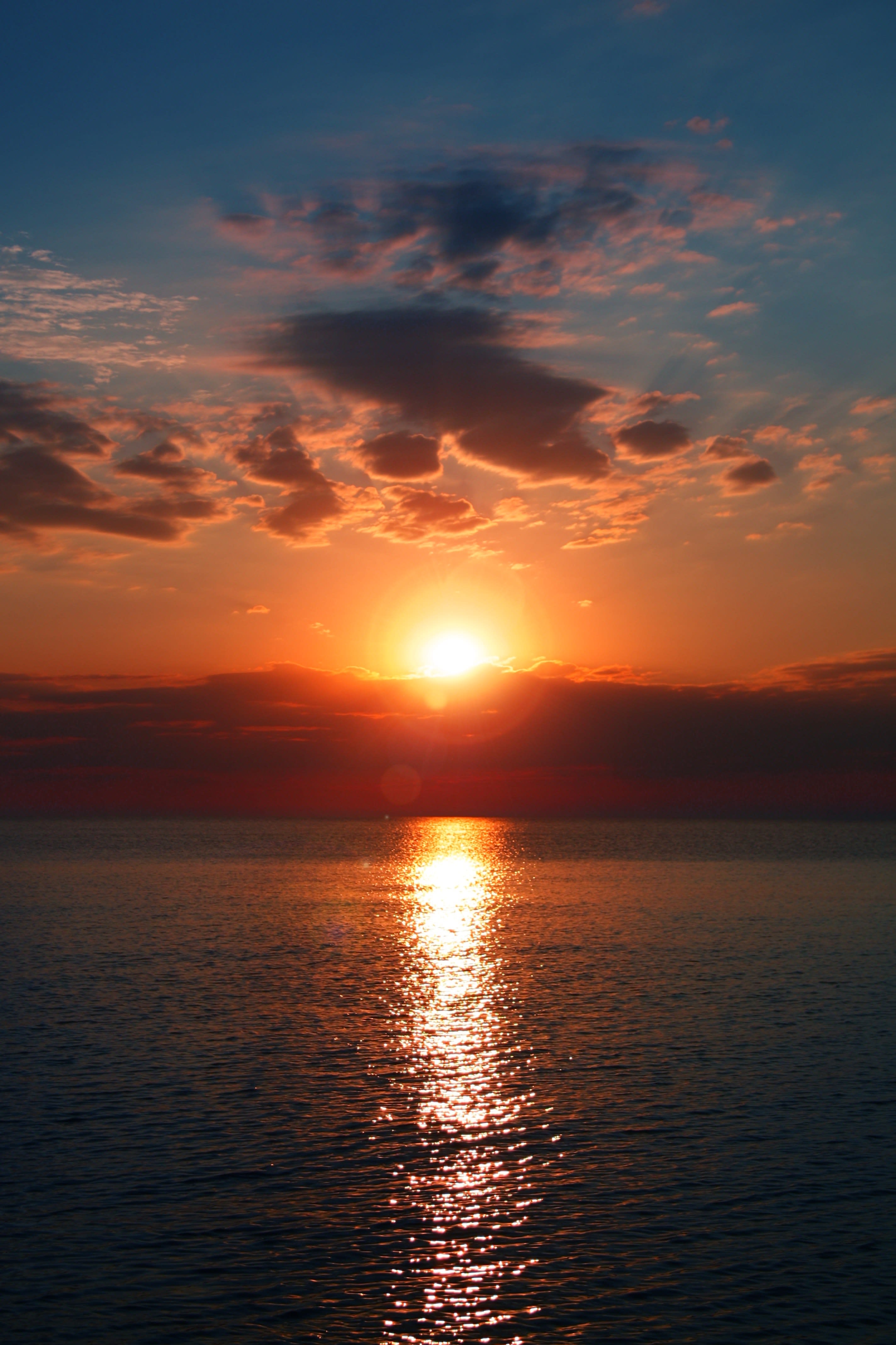 Orange Skies | Humans