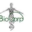 BioCorp LLC