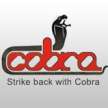 Cobra Car Alarms