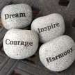 hellotoomuchtara@gmail.com