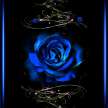 Blu Rose