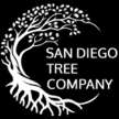 San Diego Tree Removal